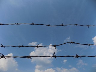 Barbed wire and sky