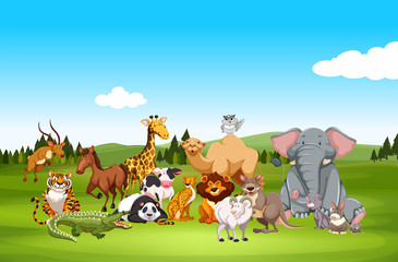 Obraz premium Wild animals in nature