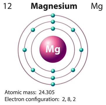 Diagram representation of the element magnesium Stock Vector | Adobe Stock