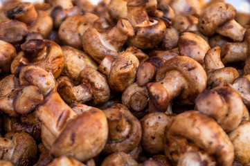 shampyona mushrooms grill