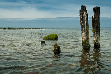 Stone algae © summit fever