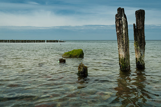 Fototapeta Stone algae
