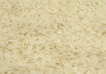 grains of rice