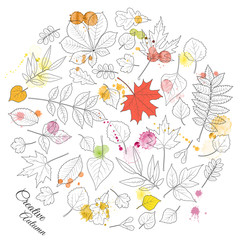 Creative autumn background: leaves of various trees drawn with black pen outlines and splashes of red and yellow watercolor. Red maple and yellow birch leaves. Vector illustration.