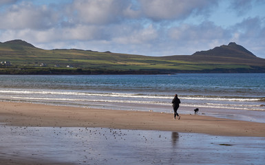 Fototapeta na wymiar Jogger with dog at the beach