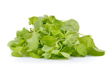 spinach on white background © sommai