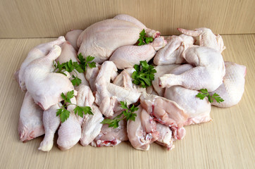chicken meat