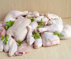 chicken meat