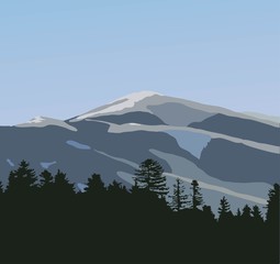 Naklejka premium Mountain in the forest