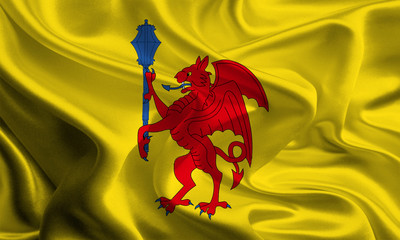 Flag of Somerset Council