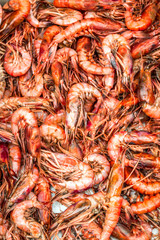 shrimps in the market