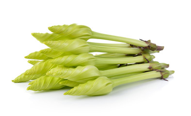 Moonflower on white background
