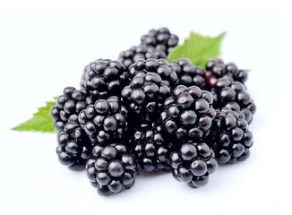 Blackberry