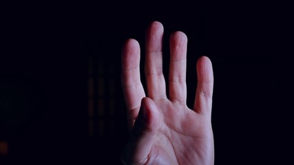 A Human Hand in Detail