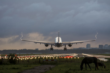 Fototapeta na wymiar Plane is flying to the runway. Nice cloudy background. Horse is standing with his young foal in front of the runway. Vortex behind.