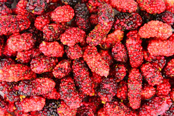 Mulberry fruit