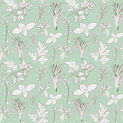 Vector fresh parsley, thyme, rosemary, and basil herbs. Aromatic leaves used to season meats, poultry, stews, soups, Bouquet granny. Seamless pattern