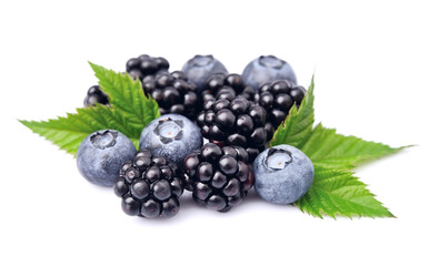 Blueberries and blackberry