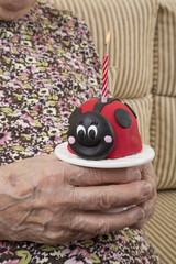 close up hands of a senior woman holding birthday cake like a ladybird