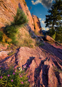First Light on Red Rocks Trail