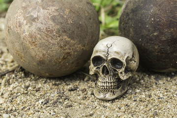 skull or skeleton of human photography