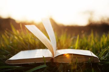 Open book on grass under the sun