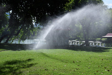closed up the sprinkler waters grass in park