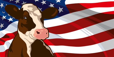 Cow on a background of flag of the United States of America - 90828854