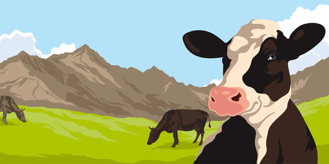 Cows on a background of nature and mountains - 90828899