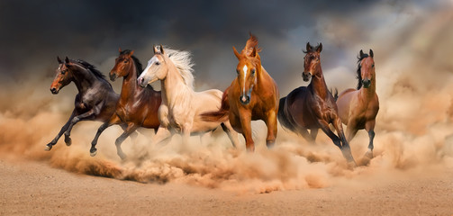Horse herd run in desert sand storm against  dramatic sky