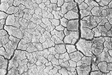 Ground cracked from dehydration.