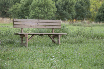 an empty wooden bench at park