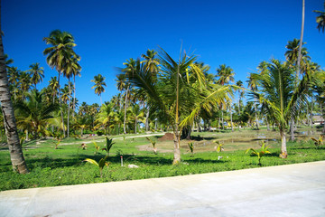 Fototapeta premium Tropical street
