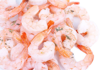 Shrimps on white