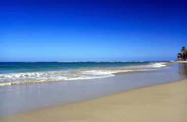 Caribbean sea seashore. Beautiful tropical beach view with turquoise water and blue sky
