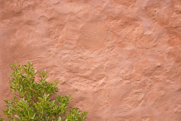 Steinmauer mit Blättern