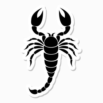 Scorpion sticker