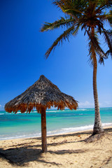 Grass leaf palm sun umbrella with caribbean sea background
