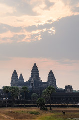 Fototapeta premium Angkor temple complex
