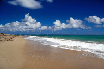 Tropical sandy beach on caribbean sea
