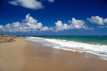 Tropical sandy beach on caribbean sea
