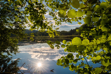 Der Ittelteich am Karstwanderweg