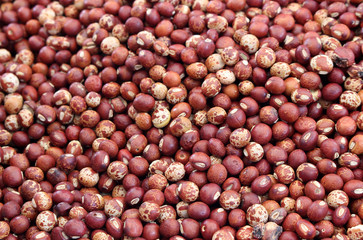 a lot of pigeon pea for background