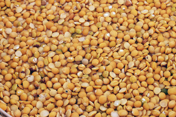 close up of pile of pigeon pea pulse split seeds