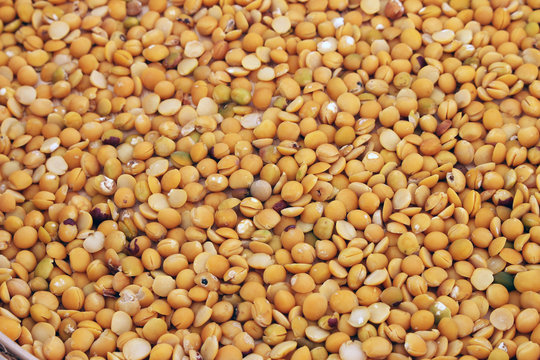 close up of pile of pigeon pea pulse split seeds