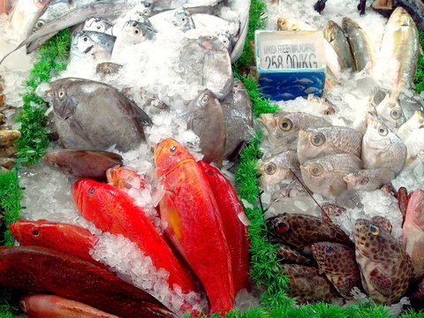 Fresh raw fishes sold at a supermarket