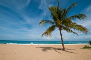 Obraz na płótnie Canvas Tropical beach
