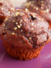 Cupcakes with chocolate frosting