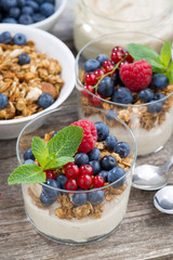 dessert with sweet cream, fresh berries and granola, vertical