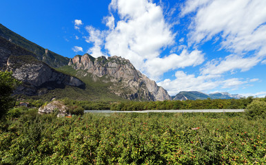 Fototapeta na wymiar Apple Orchards in Sarca Valley - Trentino Italy / Apple orchards in the Sarca Valley (Valle del Sarca). Trentino Alto Adige, Italy, Europe 